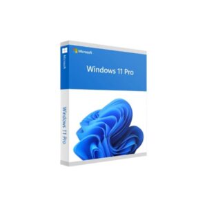 Win 11 Pro 64Bit Eng Intl 1pk DSP OEI DVD